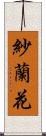 紗蘭花 Scroll