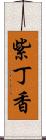 紫丁香 Scroll