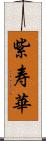 紫寿華 Scroll