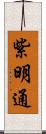 紫明通 Scroll