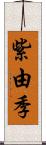 紫由季 Scroll