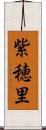 紫穂里 Scroll