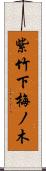 紫竹下梅ノ木 Scroll