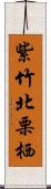 紫竹北栗栖 Scroll