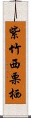 紫竹西栗栖 Scroll