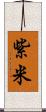 紫米 Scroll