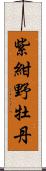 紫紺野牡丹 Scroll