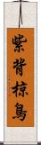 紫背椋鳥 Scroll