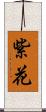 紫花 Scroll