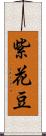 紫花豆 Scroll