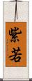 紫若 Scroll