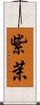 紫茉 Scroll