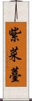 紫菜薹 Scroll