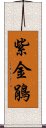 紫金鵑 Scroll