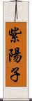 紫陽子 Scroll