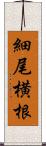 細尾横根 Scroll