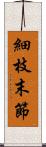 細枝末節 Scroll