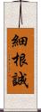 細根誠 Scroll