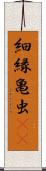 細縁亀虫(rK) Scroll