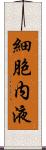 細胞内液 Scroll