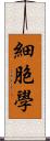 細胞學 Scroll