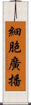 細胞廣播 Scroll