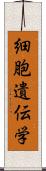 細胞遺伝学 Scroll