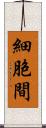 細胞間 Scroll