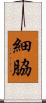 細脇 Scroll