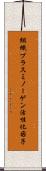 組織プラスミノーゲン活性化因子 Scroll