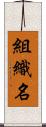 組織名 Scroll
