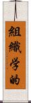 組織学的 Scroll