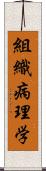 組織病理学 Scroll