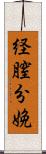 経膣分娩 Scroll