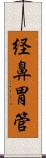 経鼻胃管 Scroll