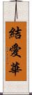 結愛華 Scroll