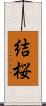 結桜 Scroll