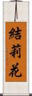 結莉花 Scroll