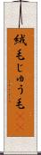 絨毛 Scroll