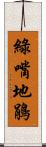 綠嘴地鵑 Scroll