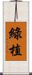 綠植 Scroll