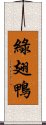 綠翅鴨 Scroll