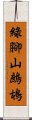 綠腳山鷓鴣 Scroll