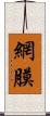 網膜 Scroll