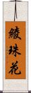 綾珠花 Scroll