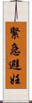 緊急避妊 Scroll