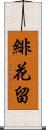 緋花留 Scroll