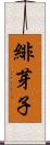 緋芽子 Scroll