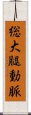 総大腿動脈 Scroll