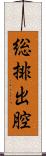 総排出腔 Scroll
